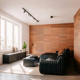 AspPremier Channel Modular Sofa - thebelacan