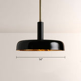 Brennan Gloss Lacquer & Brass Pendant