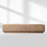 Cirglam Storage Coffee Table - thebelacan