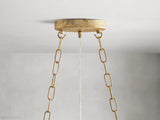 Fiore Oval Chandelier - thebelacan