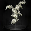 Gingko Combination Chandelier - thebelacan