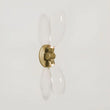 Kevin Art Grape Wall Sconce