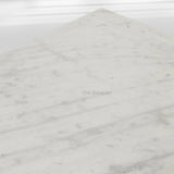 NomVerve Marble Coffee Table - thebelacan