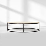 SalVerve Stone Round Coffee Table - thebelacan