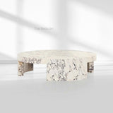 Veneta Coffee Table - thebelacan
