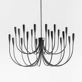 Iiona Candelabra Chandelier Light - thebelacan