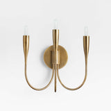 Iiona Candelabra Wall Sconce - thebelacan